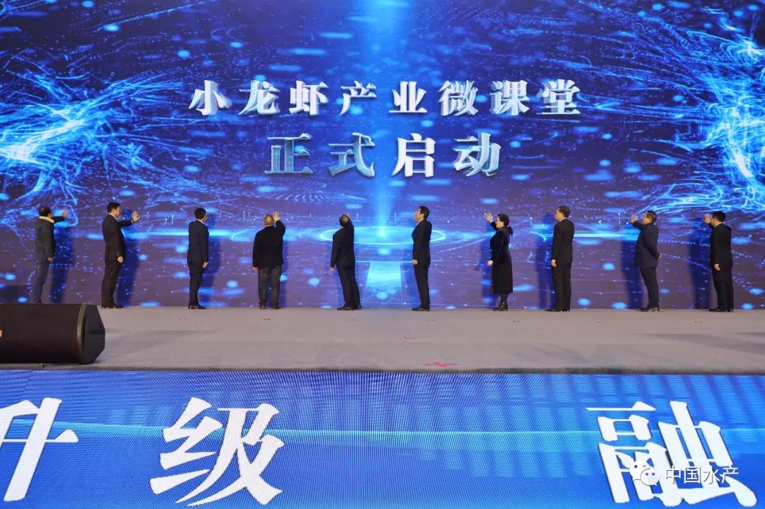 致富经小龙虾养殖2017_致富经龙虾_致富经龙虾养殖技术视频
