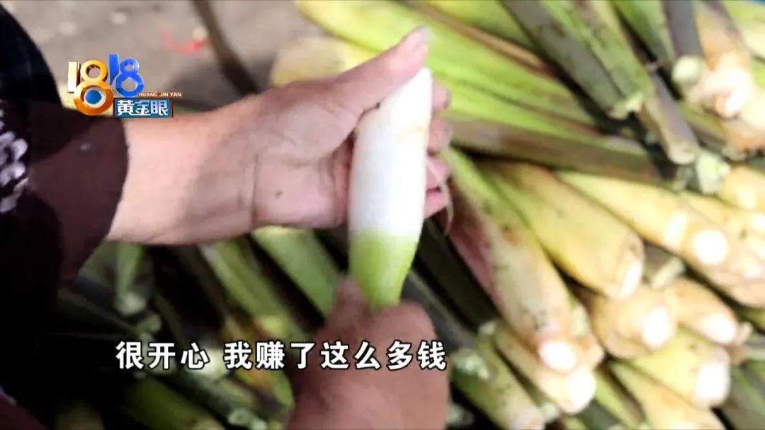 致富养殖土鸡视频_土鸡养殖致富经_土鸡养殖致富