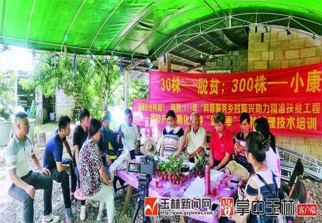吕超锦引进广州增城特产