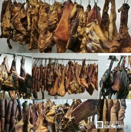 致富经红薯喂猪_红薯喂猪致富经_科技苑红薯喂猪