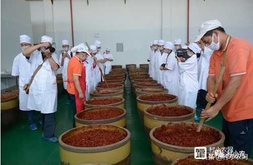 科技苑红薯喂猪_致富经红薯喂猪_红薯喂猪致富经