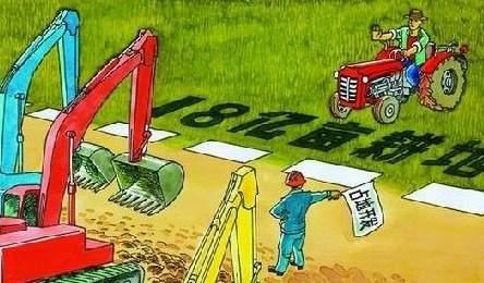 致富农民不等于耕地“非农化”、“非粮化”