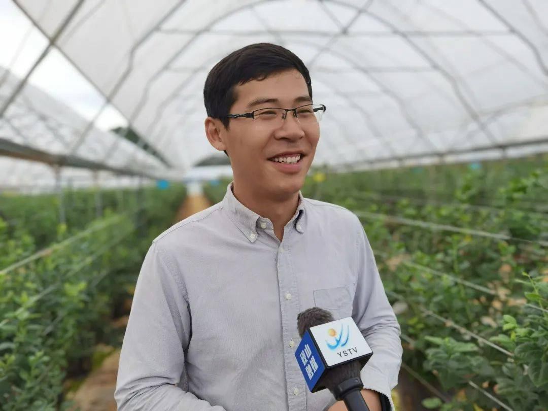 云南种植什么致富_云南种植业什么最赚钱_云南种树致富