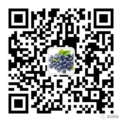 丹参种植致富_致富种植丹参怎么样_种植丹参的效益怎么样
