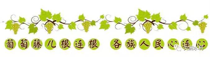 贫困羊助推贫困户脱贫致富