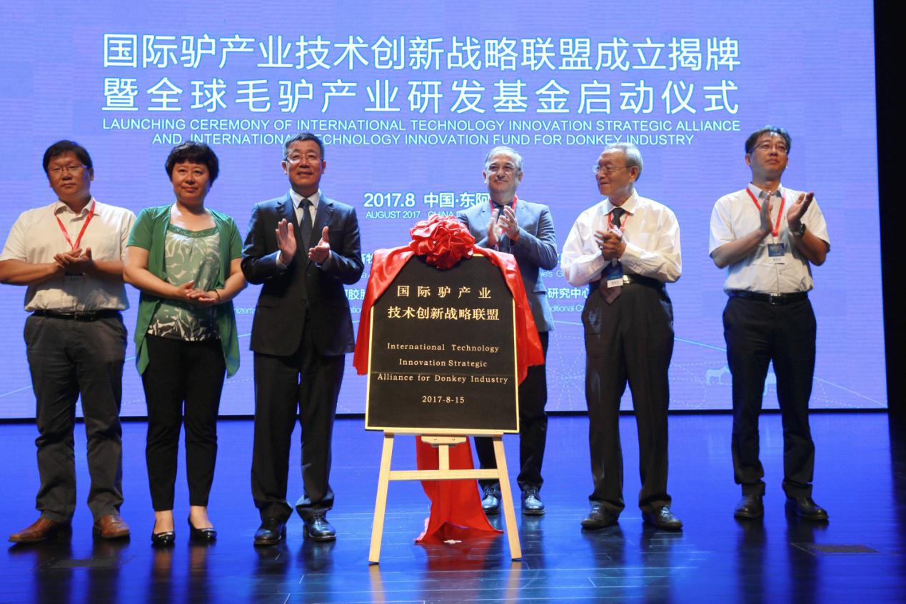 靠养殖毛驴致富_致富经毛驴养殖视频_养驴致富经