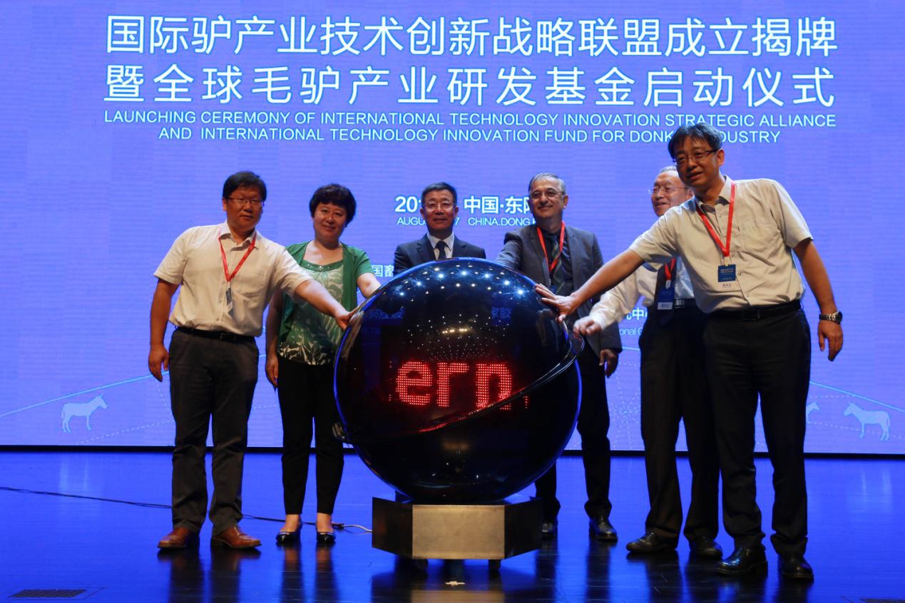 致富经毛驴养殖视频_靠养殖毛驴致富_养驴致富经