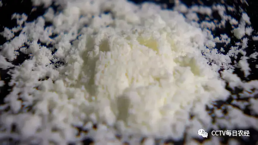 致富经黑山羊养殖场的视频_致富经视频养黑山羊羊视频_每日农经致富经黑山羊