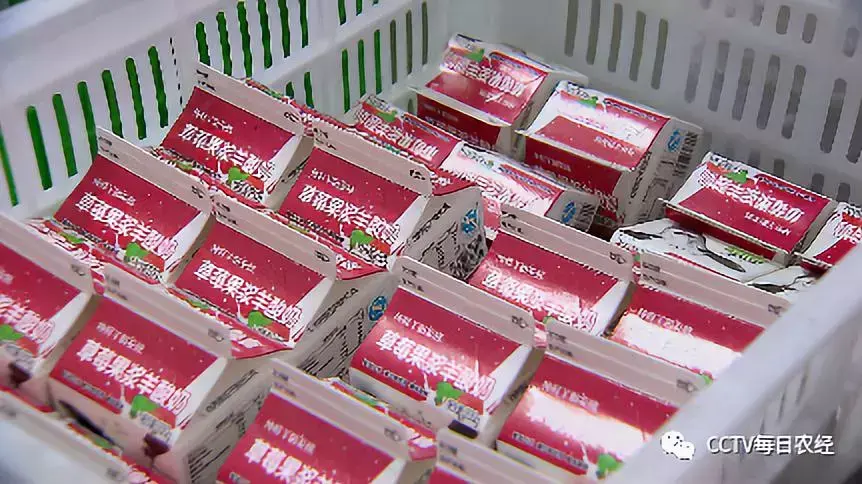 致富经黑山羊养殖场的视频_致富经视频养黑山羊羊视频_每日农经致富经黑山羊
