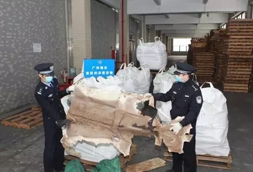养殖毛驴成本和利润_靠养殖毛驴致富_养驴致富经