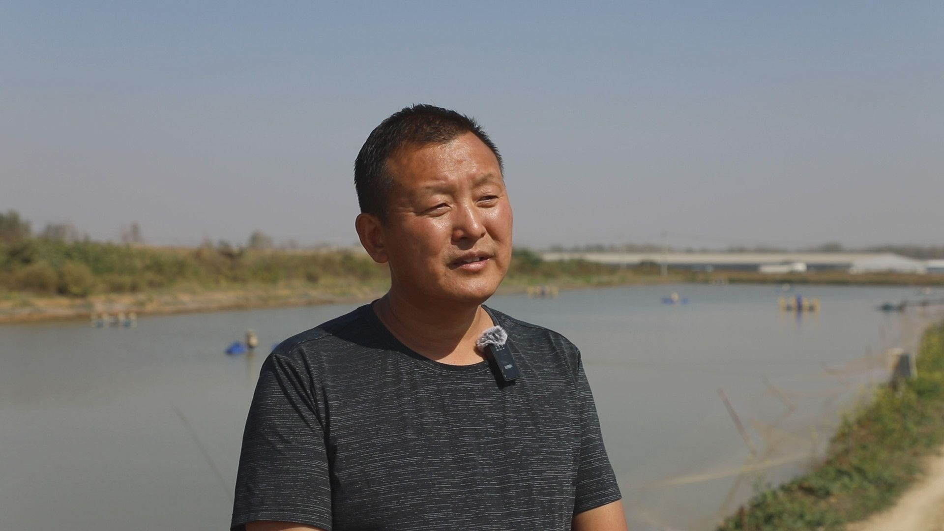 致富小河养殖鱼鳜鱼视频_鳜鱼真实养殖利润_小河鱼养殖鳜鱼致富