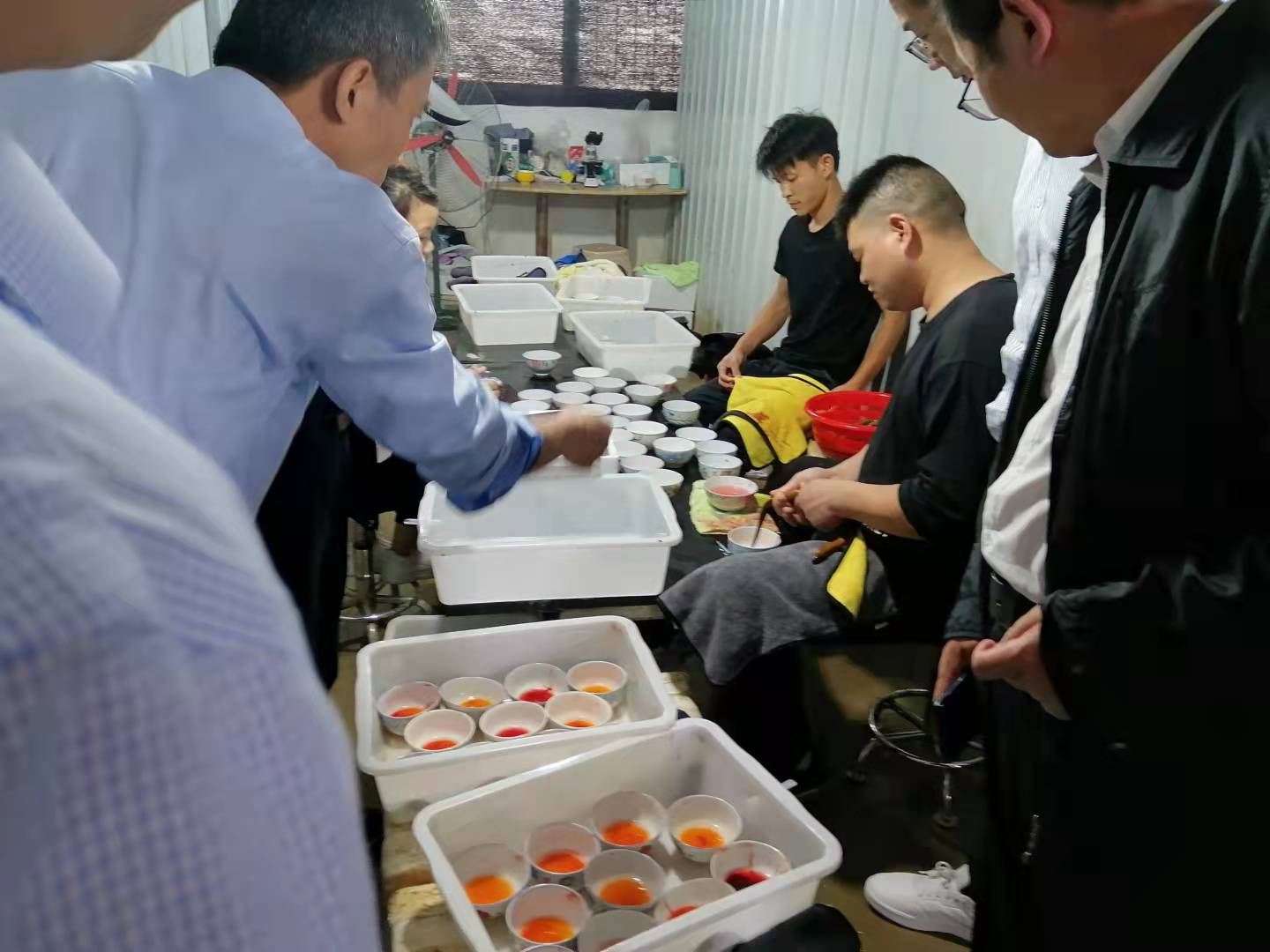 致富黄鳝养殖_致富养殖黄鳝视频_致富养殖黄鳝怎么样