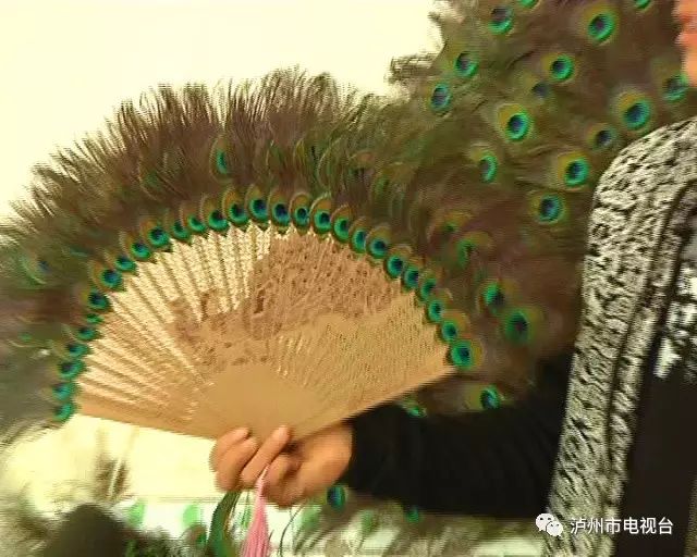 昆明孔雀养殖致富_孔雀养殖销路_云南孔雀养殖