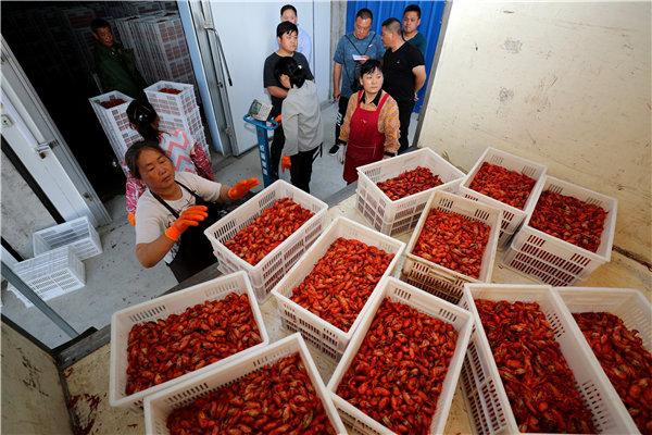 致富经王武_致富经王如峰视频_致富经王新兵