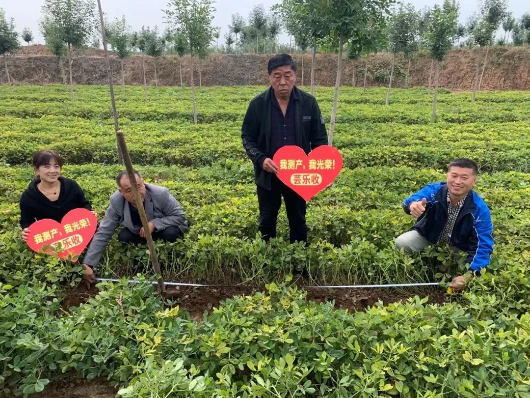种植致富金果果_致富经果树盆景_致富经种水果