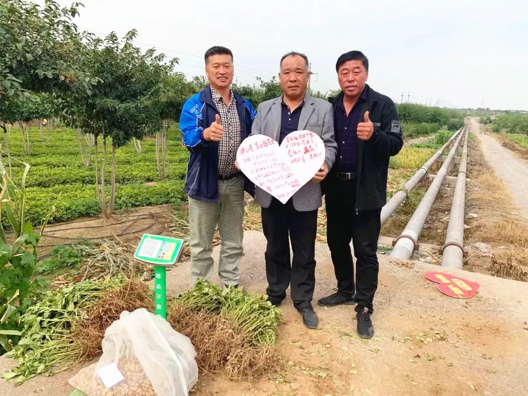 致富经种水果_种植致富金果果_致富经果树盆景
