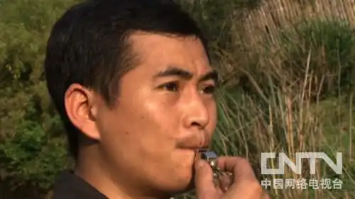 致富经养鹿浙江丽水_致富经鹿养殖_致富经养鹿八年五万变百万