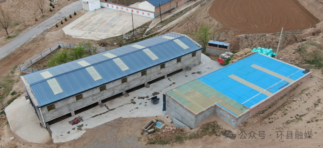 渭南养羊基地_2021年养殖羊致富前景_渭南羊养殖致富