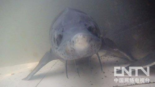 中央台致富节目_中央电视台致富经王浩_中央致富频道视频