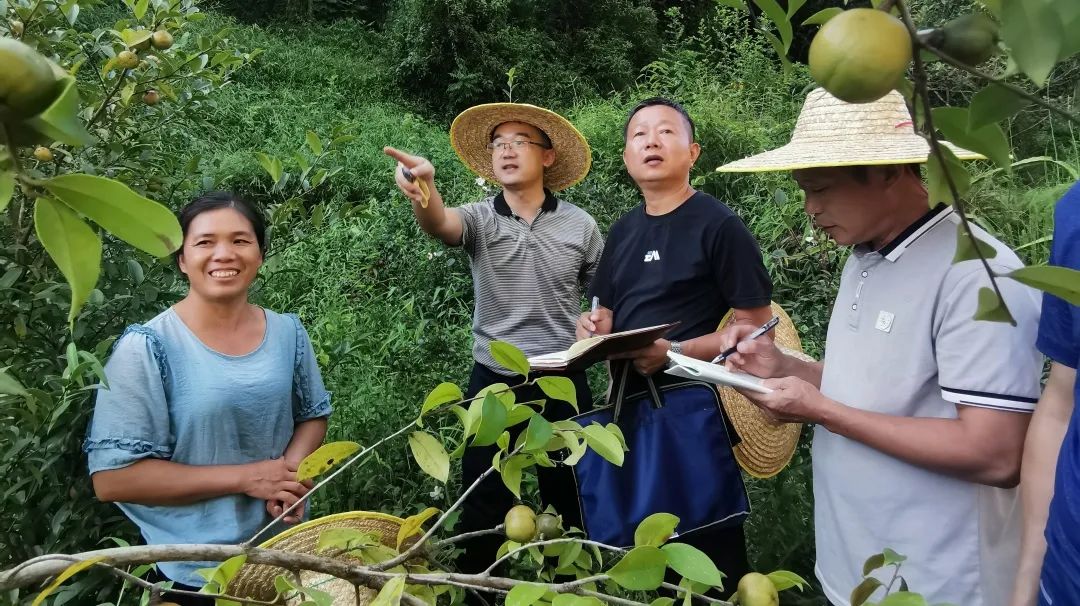 致富清水养殖鱼图片_致富经清水鱼养殖_致富经养清水鱼