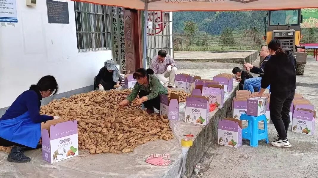 致富经清水鱼养殖_致富清水养殖鱼图片_致富经养清水鱼