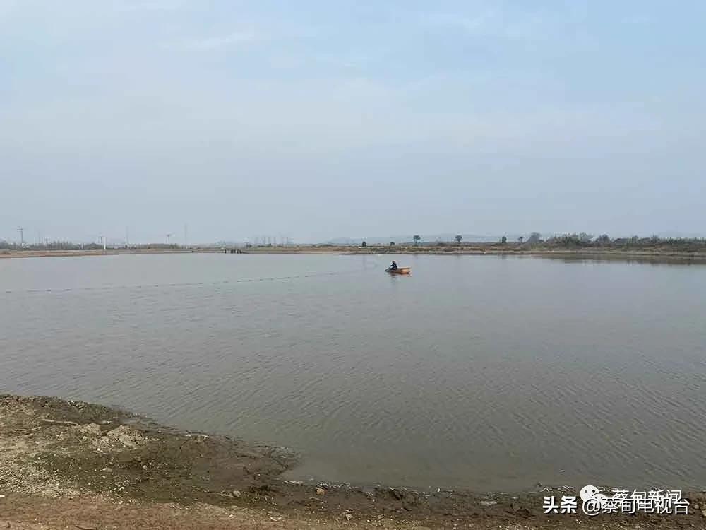 桂鱼养殖致富经_致富养殖桂鱼视频_养殖桂鱼的利润是多少