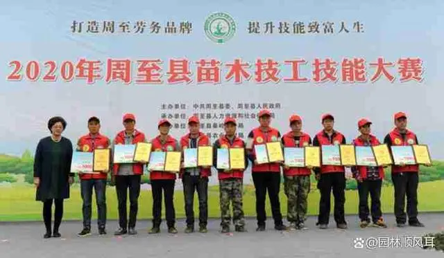 种花致富选什么品种_花卉致富种植方案_种植花卉的致富