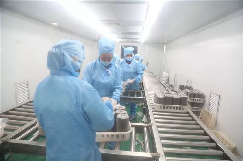 菇种植方法_菇类种植技术视频_荼树菇种植技术