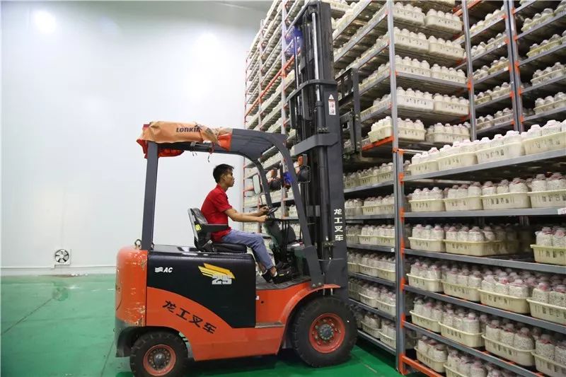 菇类种植技术视频_荼树菇种植技术_菇种植方法