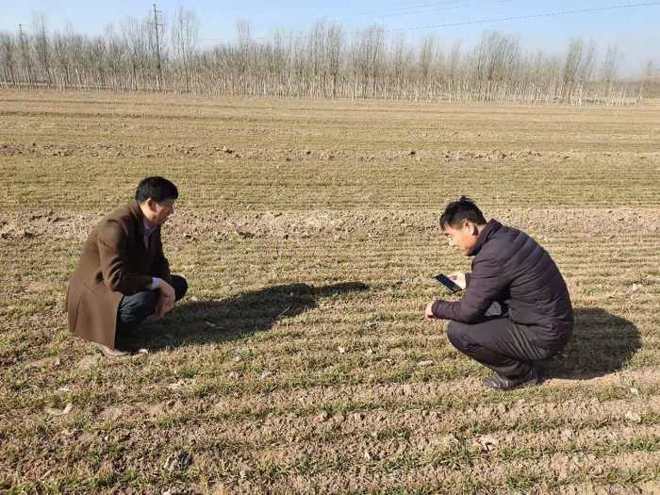 樱桃致富经_致富经种樱桃_致富经大樱桃种植视频