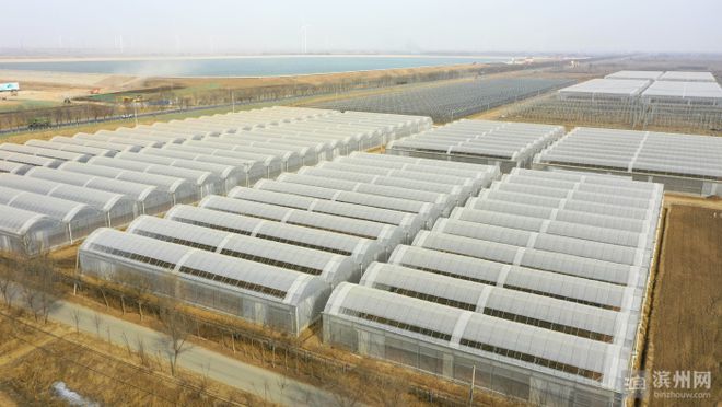 致富经种樱桃_樱桃致富经_致富经大樱桃种植视频
