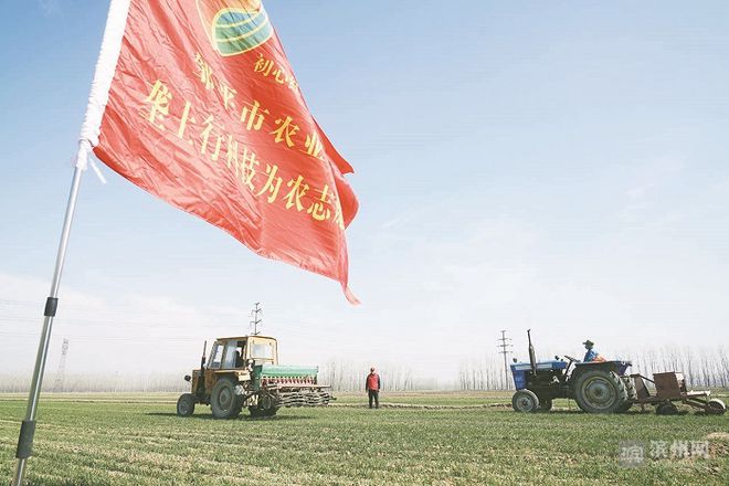 致富经大樱桃种植视频_樱桃致富经_致富经种樱桃