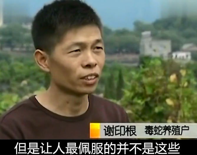 致富经养殖毒蛇视频_cctv7 致富经养蛇视频全集_视频致富全集养蛇cctv7