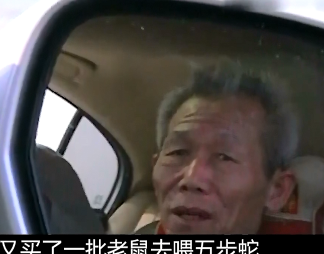 cctv7 致富经养蛇视频全集_视频致富全集养蛇cctv7_致富经养殖毒蛇视频