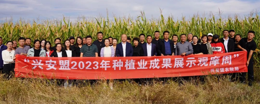 成效作物优质推广经验怎么写_优质作物推广成效及经验_推广优良品种