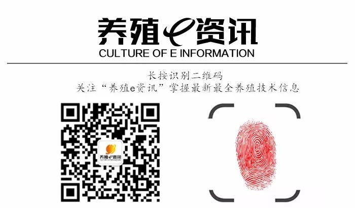 致富养殖方法毛驴图片_毛驴养殖致富方法_致富经毛驴养殖视频
