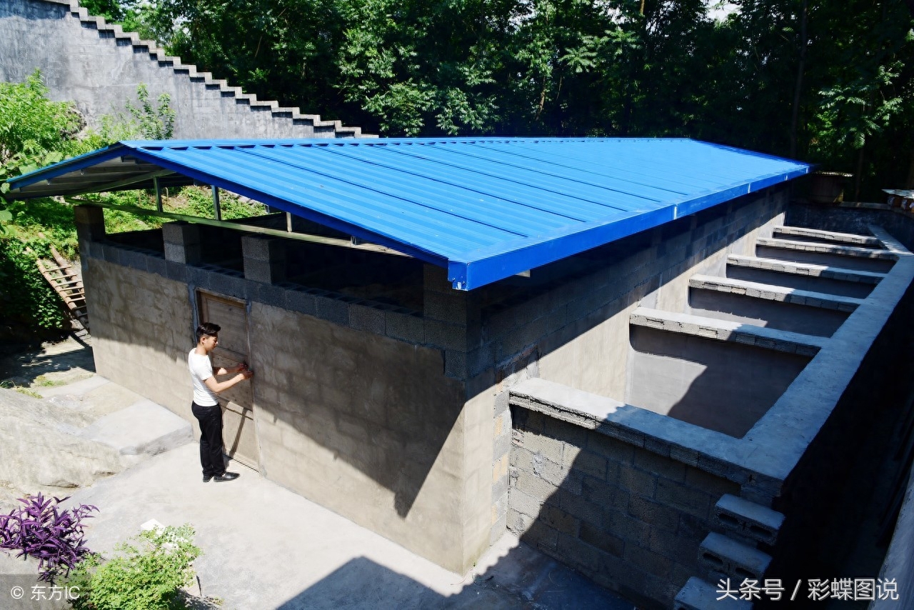 湖北90后小伙养蛇致富，年养10000多斤蛇生2500个蛋，年收入40万