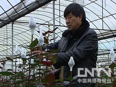 [致富经]自断后路成就的财富(20120214)