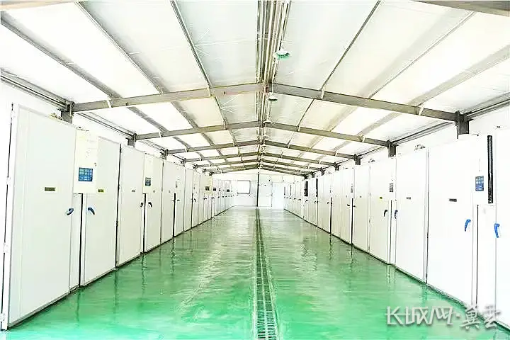 鹅养殖户_养鹅养殖致富_养殖鹅致富经