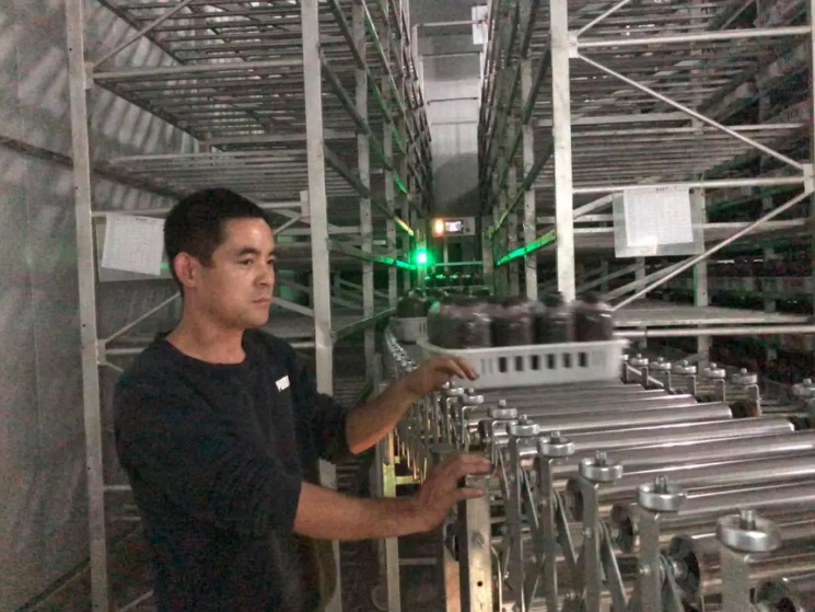 磨菇种植技术新闻_磨菇栽培种植技术_磨菇种植新技术