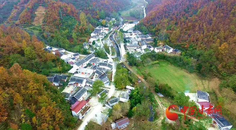 【聚焦乡村振兴】小香菇种出致富路——从马莲咀村华丽转身看康县美丽乡村建设（九）