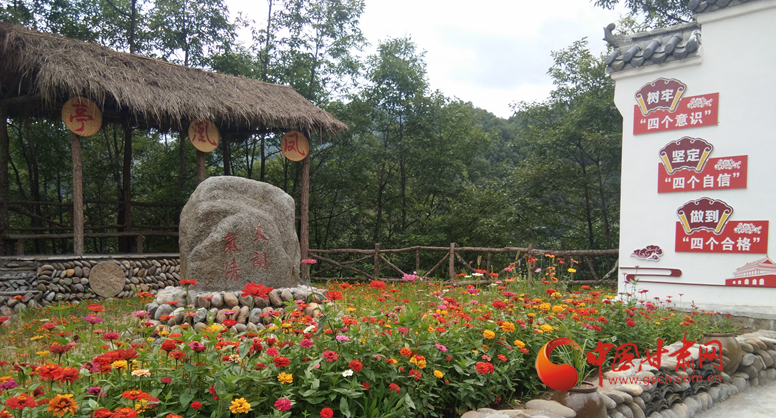 农村种植香菇致富吗_致富香菇种植农村图片大全_致富香菇种植农村视频