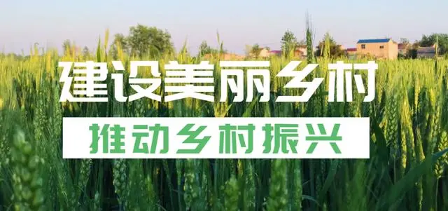 致富cctv_央视网致富经视频_央视致富经视频全集玉米