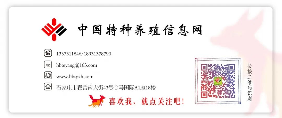 面包虫养殖致富_面包虫养殖技术与利润_面包虫养殖前景