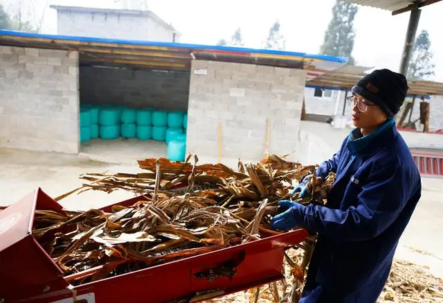 致富经肉牛养殖场的视频_致富经肉牛养殖_致富经肉牛