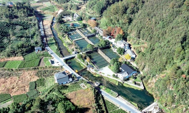 重庆流水鱼养殖_致富经重庆流水养鱼_重庆流水养鱼基地