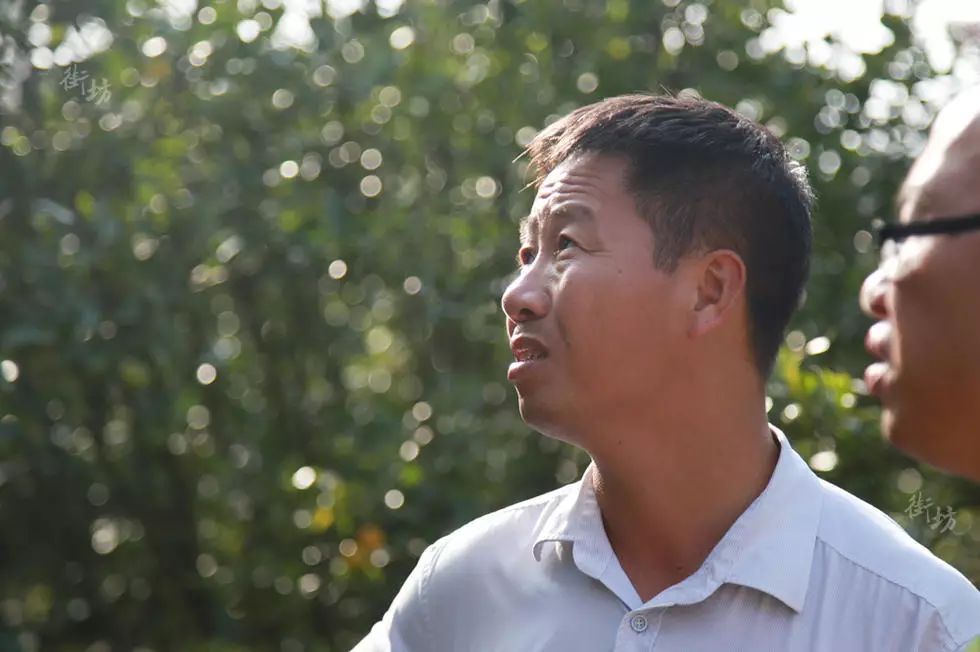 农村致富故事成功_农村种植致富故事_致富种植农村故事怎么写