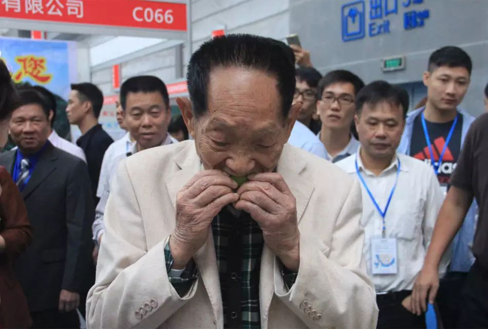 农村种植致富故事_致富种植农村故事怎么写_农村致富故事成功