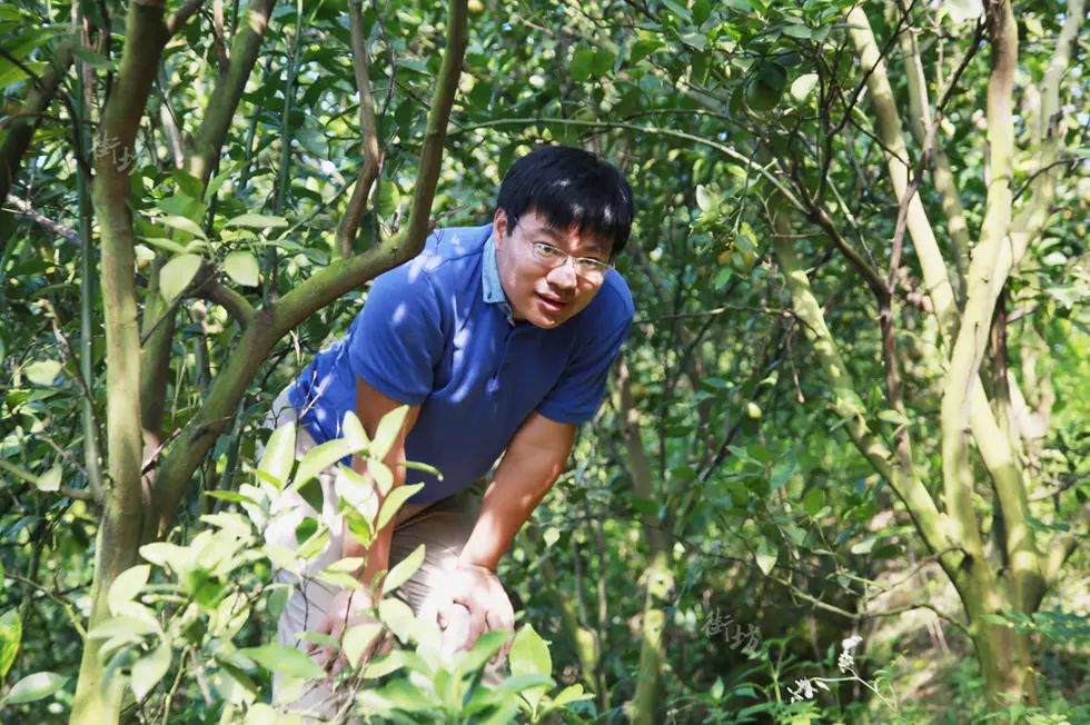 农村致富故事成功_致富种植农村故事怎么写_农村种植致富故事