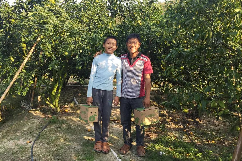 致富种植农村故事怎么写_农村种植致富故事_农村致富故事成功